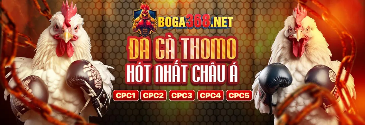 Giao diện đăng nhập 13win với các trò chơi cá cược trực tuyến đa dạng