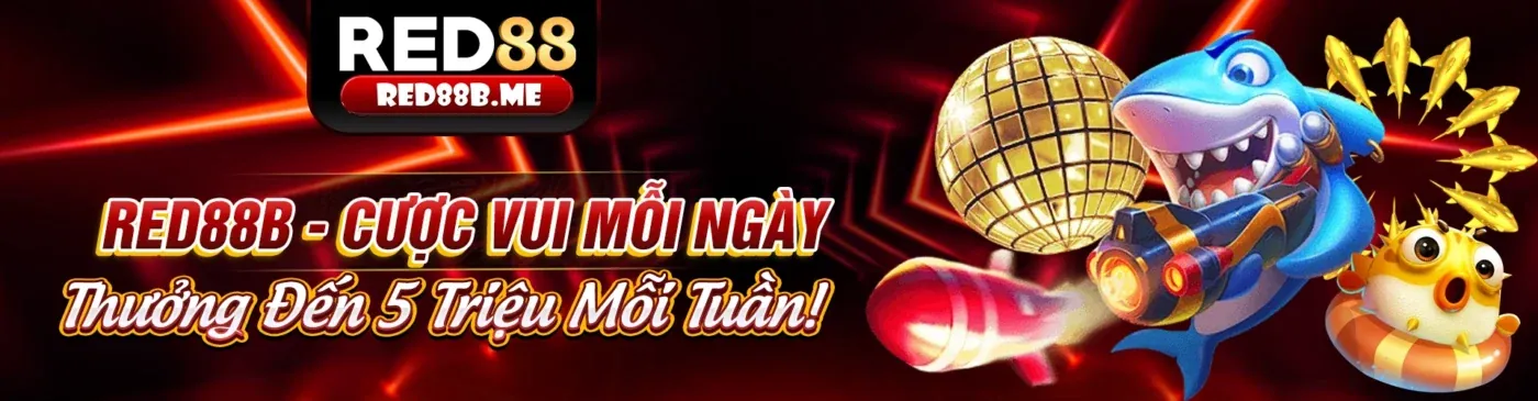 Các Loại Khuyến Mãi Đa Dạng